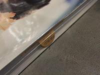 新品 平野綾 写真集　「Girlfriend ガールフレンド」　シュリンク未開封 帯・管理カード付　ワニブックス 声優 女優