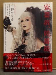 宝野アリカ 写真＆執筆集　「蜜薔薇、棘薔薇」　初版 帯付き　写真集　ALI PROJECT