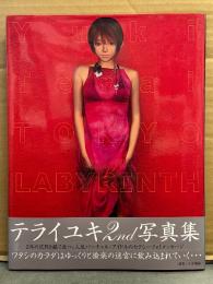 テライユキ 2nd写真集　「東京ラビリンス」　初版 帯付き バーチャルアイドル