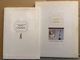 SuperDollfie Bibke　スーパードルフィーバイブル 初版 外箱付 ボークス ドール写真集 VOLKS