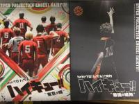 ハイパープロジェクション演劇 ハイキュー！！ パンフレット5種セット 飛翔 ゴミ捨て場の決戦 最強の場所 東京の陣 頂の景色2