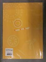 ビニール未開封　戸松遥 second live tour Sunny Side Stage パンフレット 声優