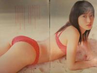 上野なつひ 雑誌切り抜き 50ページ 水着 ビキニ