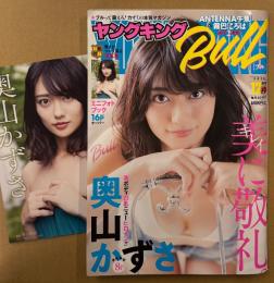 ヤングキング BULL ブル 2018年12月　別冊ふろく 奥山かずさ ミニフォトブック16p付き＋ビキニ 8p・有村架純 他