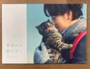 邦画パンフレット 「世界から猫が消えたなら」　 宮﨑あおい・佐藤健 他　原作 川村元気 　日本映画