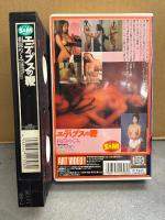 相原めぐみ VHS 「エディプスの鞭」　SM/拘束　巨乳AV女優