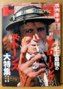 映画秘宝 HIHO 2009年1月 通巻111号　ロック誌には書けない史上最強のザ・ローリング・ストーンズ大特集 他　邦画/洋画 映画情報