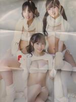 ヤングドラゴンエイジ 2024年1月 Vol.20　#ババババンビ ポスター・クリアファイル・結那両面クリアファイル 3種付