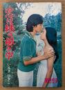 いえきひさこ（家城久子） 小説版 「恋は緑の風のなか」　佐藤佑介・原田美枝子　Youngシリーズ　秋元文庫