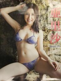 亜里沙 2013年ビキニカレンダー B2サイズ 8枚綴り