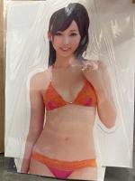 ヤングアニマル嵐 2011年10月 No.10　吉木りさ 超BIGスタンドPOP未開封＋ビキニ8p・池田夏希 ビキニ/手ブラ7p　他