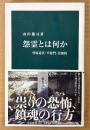 山田雄司 「怨霊とは何か 菅原道真・平将門・崇徳院」　帯付き　中公新書
