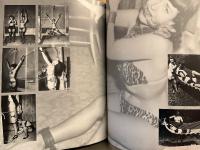 洋書  「Betty Page QUEEN OF PIN-UP」 ベティ・ペィジ 写真集　グラマーガール/ピンナップガール