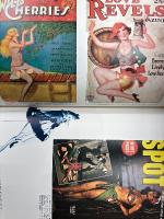 洋書 MARK GABOR 「the pin-up A MODEST HISTORY BY MARK GABOR」イラスト集 写真集