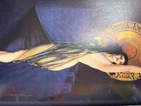 洋書 MARK GABOR 「the pin-up A MODEST HISTORY BY MARK GABOR」イラスト集 写真集