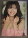 直筆サイン入　山内鈴蘭 写真集 「おきにいり」 初版 帯付　鈴木ゴータ 双葉社