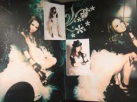 レア！ 松嶋れいな 写真集　限定数冊　台湾撮影　AV女優 ストリッパー