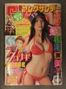 週刊ヤングサンデー 2007年4月19日 No.18 通巻1096　相澤仁美 佐藤弥生 小学館 ヤンサン