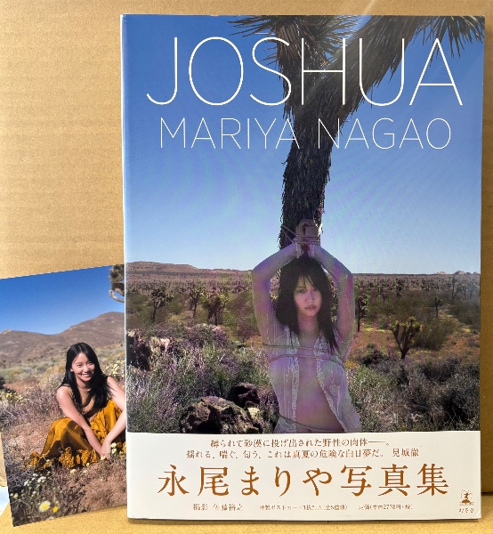 田村英里子 1993年 カレンダー B2サイズ 7枚綴り | ¥3,520 - 日本の