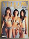 サブラ増刊 「YELLOW GIRLS」　小池栄子・佐藤江梨子・MEGUMI　両面見開きピンナップ2種付 　sabra