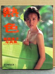 栗原景子 写真集 「熱色」　初版　モデル/キャンギャル/女優