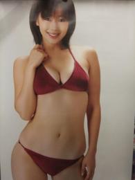 井上和香 週刊プレイボーイ 創刊37周年記念 等身大ビキニポスター