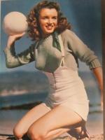 洋書 「THE Marilyn ALBUM」 マリリン・モンロー　ノーマ・ジーン　大判写真集　NICKI GILES