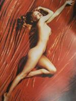 洋書 「THE Marilyn ALBUM」 マリリン・モンロー　ノーマ・ジーン　大判写真集　NICKI GILES