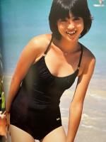 松田聖子 写真集 「SEIKO 1911 DAYS デビューから1911日 結婚記念写真集」　初版　両面ピンナップ付き　デラックス近代映画