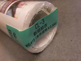 未開封 新垣結衣 2010年　カレンダー　B2サイズ　8枚