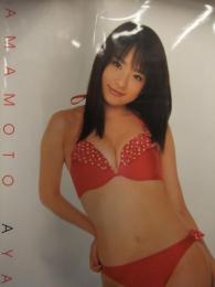 山本彩乃　等身大 赤ビキニポスター  週刊ヤングジャンプ創刊25周年記念 応募者全員大サービス品 輸送箱付き