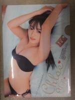 ヤングチャンピオン 2021年9月28日　優希クロエクリアファイル＋DVD未開封＋グラビアページのみ　宮崎あみさ