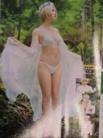 ヤングチャンピオン 2021年8月10日　篠崎こころ クリアファイル＋ピンナップ＋グラビアページのみ　志田音々