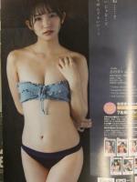 ヤングチャンピオン 2021年8月10日　篠崎こころ クリアファイル＋ピンナップ＋グラビアページのみ　志田音々