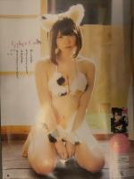 ヤングチャンピオン 2021年1月12日　DVD未開封＋えなこ 両面クリアファイル＋グラビアページのみ　宮本彩希