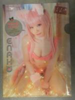 ヤングチャンピオン 2021年1月12日　DVD未開封＋えなこ 両面クリアファイル＋グラビアページのみ　宮本彩希