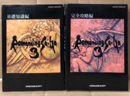 「ロマンシング サ・ガ 3 Romancing Sa・Ga 基礎知識編 ＋ 完全攻略編」 2冊セット　2冊とも初版　SUPER Famicom　スーパーファミコン　SFC　SQUARESOFT