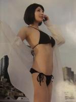 切り抜き ヤングチャンピオン烈 2021年No.11 DVD未開封＋グラビアページのみ　大和田南那 SANA