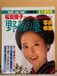 松田聖子 写真集 「野菊の墓 写真特集」　初版　松田聖子 第1回主演映画完成記念 ヤング・アイドル・ナウ 別冊号 永久保存版