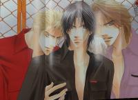 鹿乃しうこ 「WILD CARD ワイルドカード」　初版 帯・ピンナップ2種(両面イラスト・データリスト)・アンケートはがき付　全出版社/全シリーズ/全キャラ図鑑　イラスト集　画集　ボーイズラブ　BL　ジュネットMOOK