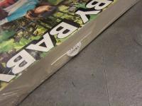 新品 写真家 川島小鳥 写真集　「BABY BABY」　帯・管理カード付　シュリンク未開封 新風舎 未来ちゃん