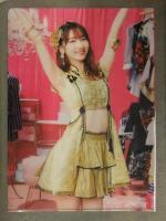 切り抜き ヤングジャンプ 2021年8月 No.33.34 柏木由紀 クリアファイル＋小冊子＋グラビアページのみ 青井春 篠崎こころ