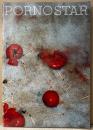 邦画 パンフレット 「PORNO STAR ポルノスター」　千原浩史(千原ジュニア)・鬼丸・緒沢凛・広田レオナ 他　映画