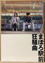 邦画 パンフレット 「まほろ駅前狂騒曲」　瑛太・松田龍平・高良健吾・真木よう子・本上まなみ 他　映画