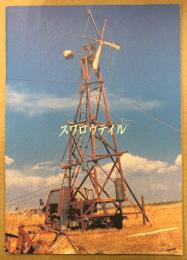 岩井俊二 監督作品　邦画 パンフレット 「スワロウテイル」　三上博史・Chara・江口洋介・大塚寧々 他　映画　