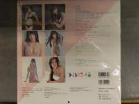 新品 NMB48 スクールカレンダー 2014-2015 生写真封入　外ビニール未開封