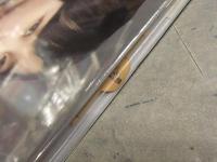 新品 橋本環奈 1st写真集　「Little Star -KANNA15-」　管理カード封入　帯付き　シュリンク未開封