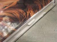 新品 桐谷美玲 1st写真集　「失恋、旅行、パリ。」　管理カード封入　帯付き　シュリンク未開封