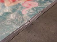 新品　武田玲奈 2nd写真集　「rena」　シュリンク未開封　管理カード封入　帯付き　阿部ちづる　集英社