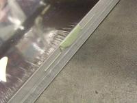 新品 橋本マナミ 写真集　「接写」　シュリンク未開封　管理カード封入 帯付き 笠井爾示　幻冬舎